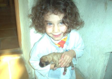 bébés chiots